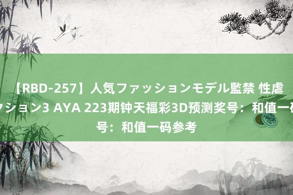 【RBD-257】人気ファッションモデル監禁 性虐コレクション3 AYA 223期钟天福彩3D预测奖号：和值一码参考