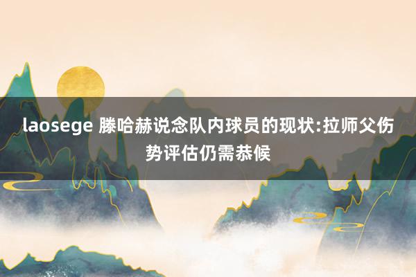 laosege 滕哈赫说念队内球员的现状:拉师父伤势评估仍需恭候